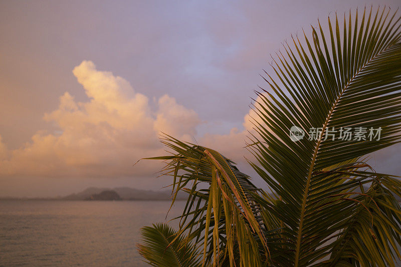 日落后的背景(泰国Koh Mook) -热带植物与天空和海洋背景